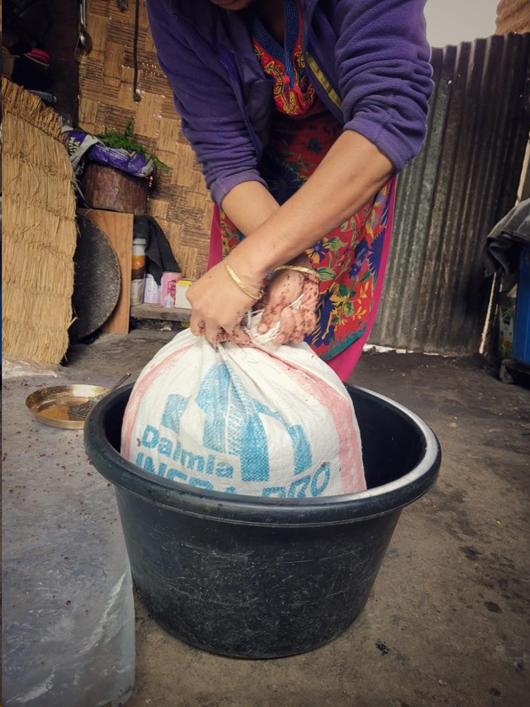 THE FERMENTED FOOD CULTURE OF SIKKIM — Sikkim Project