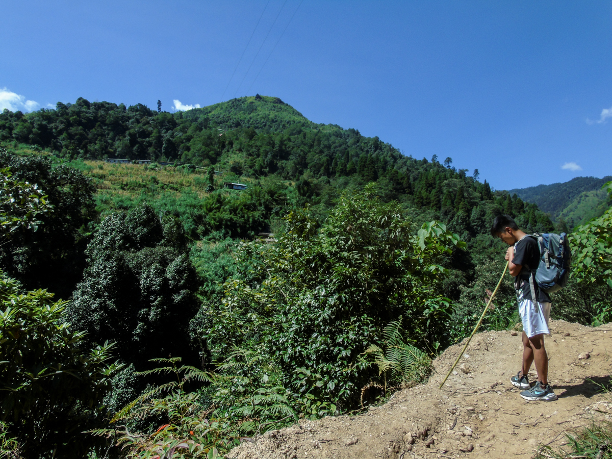 A WALK ACROSS SEPI: THE INTERTWINED LIVES OF HUMANS AND WILDLIFE ...